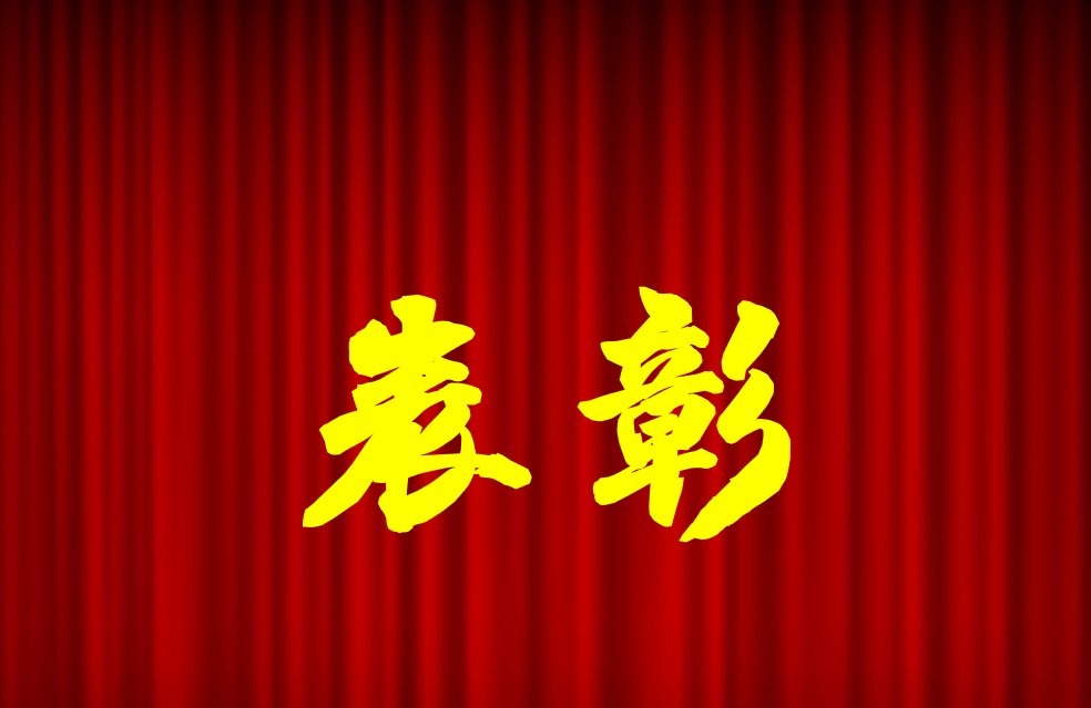 逐光前行、榮耀共鑒 | 公司2024年度表彰來啦！